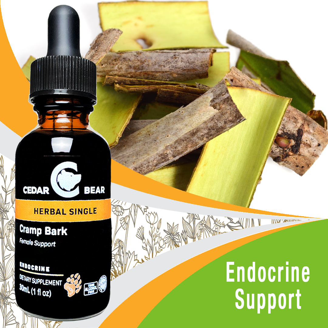 Cramp Bark Single Herb Herbal Supplements Cedar Bear Naturales