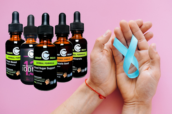 Blood Sugar Balance Take Charge of Your Health!