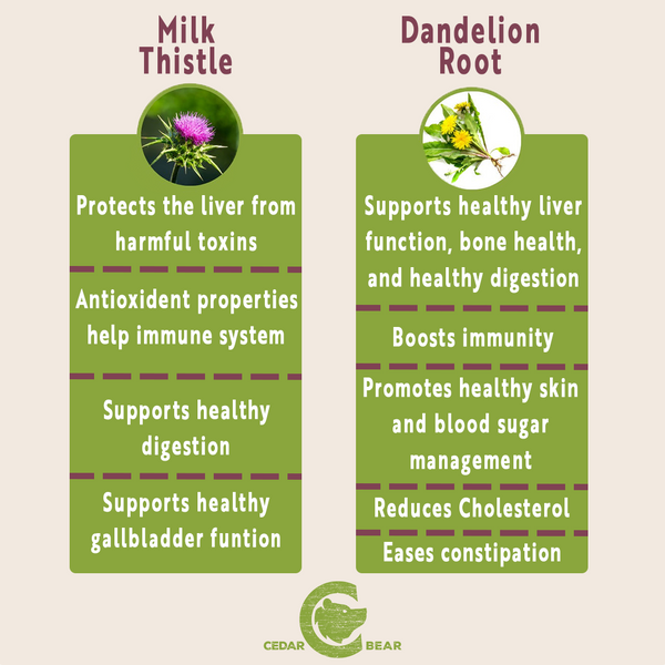 Wellness Benefits of Milk Thistle and Dandelion Root