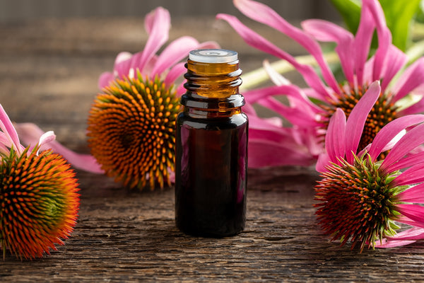 7 Ways to Boost Immunity Naturally