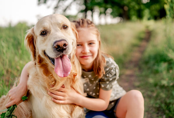 Herbal Supplements to Support Your Pet’s Health