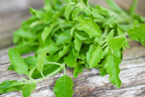 Holy Basil Leaf: The Stress-Reducing Adaptogen