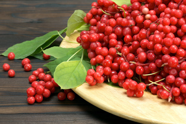 Schisandra Berry: One of the World's Best Adaptogens