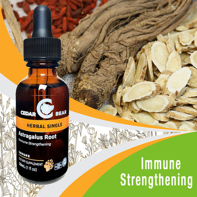 Astragalus Root