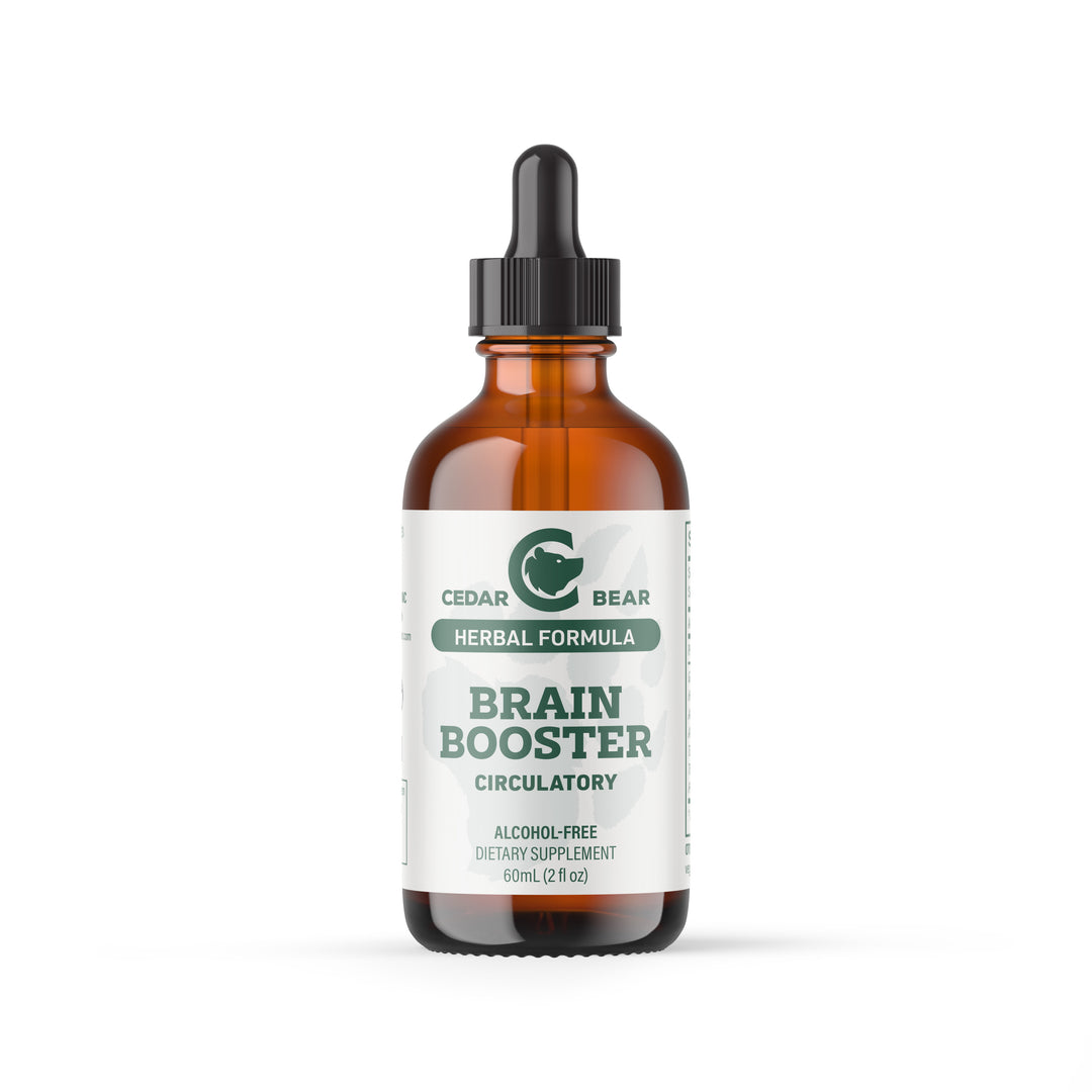 Brain Booster – Natural Memory & Focus Support | Alcohol-Free