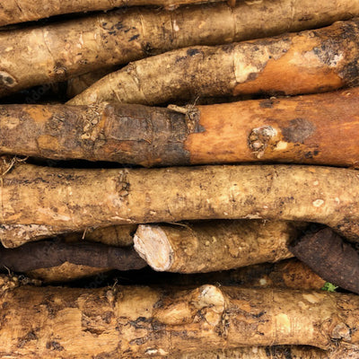 Burdock Root