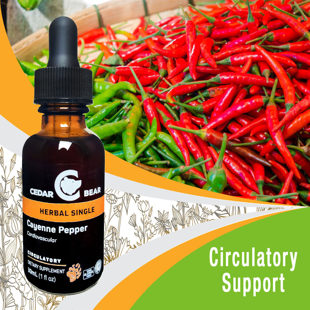 Cayenne Pepper Fruit