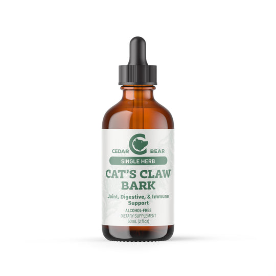 CedarBear-