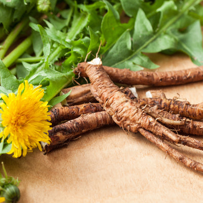 Dandelion Root