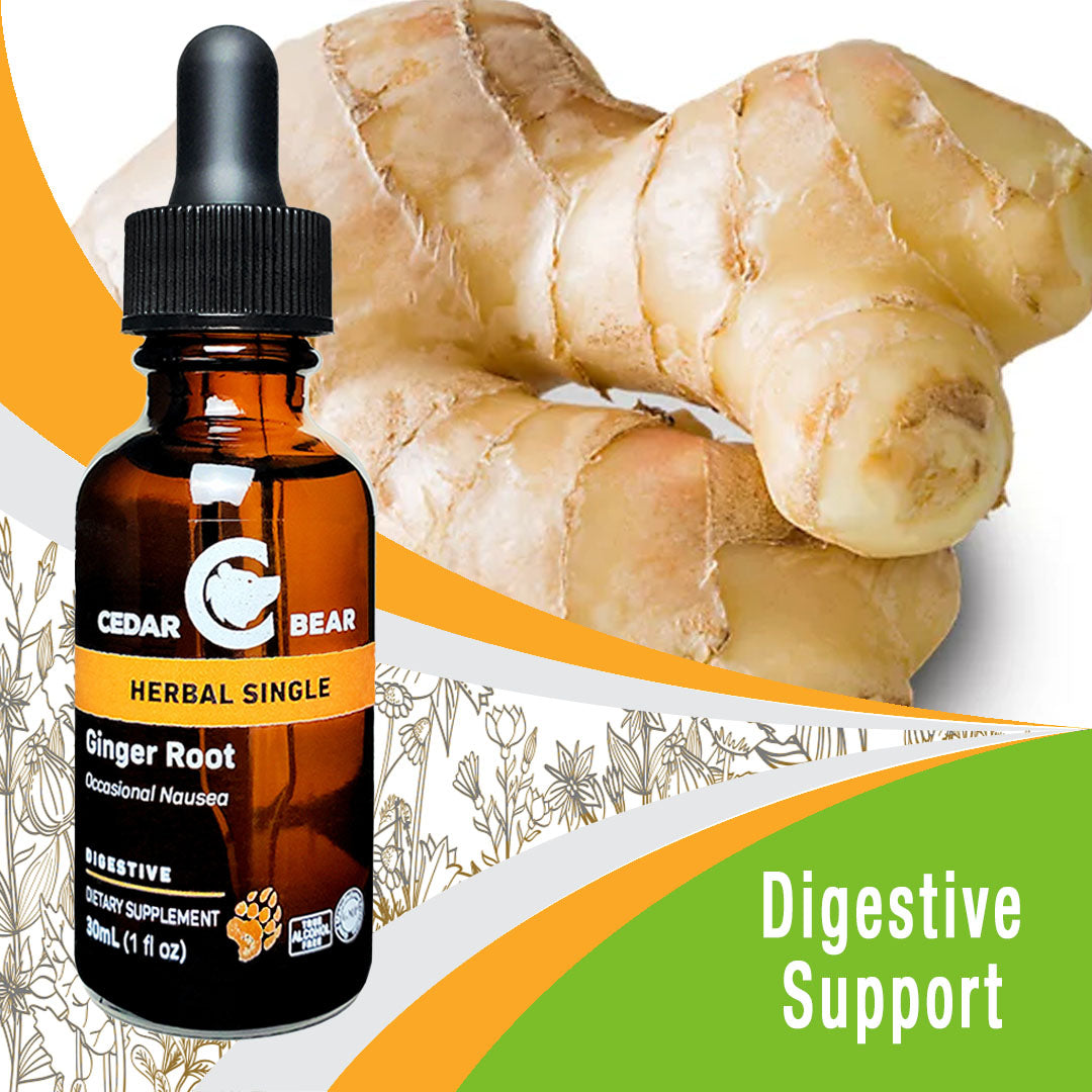 Ginger Root