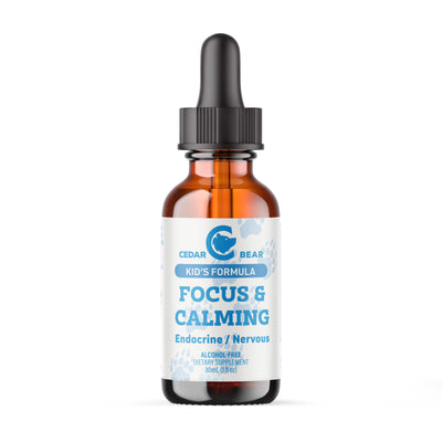 Focus & Calming for Kids