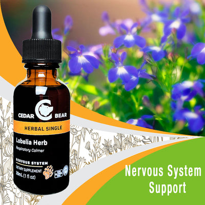 Lobelia Herb