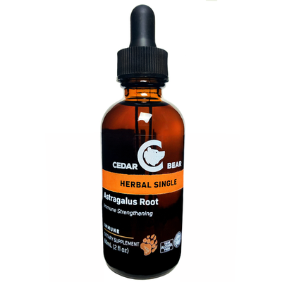 Astragalus Root