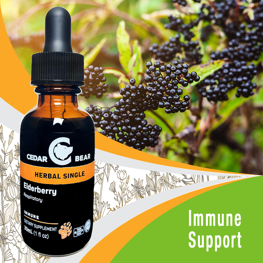 Elderberry