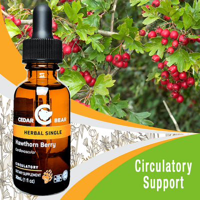 Hawthorn Berry